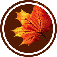 4. Herfst 4. Herfst